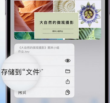 霍林郭勒apple维修中心分享iPhone文件应用中存储和找到下载文件