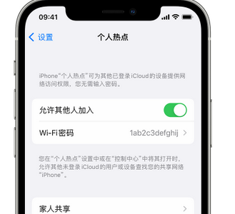 霍林郭勒apple服务站点分享iPhone上个人热点丢失了怎么办 