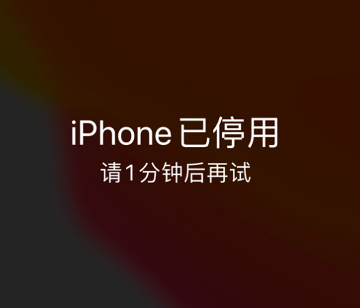 霍林郭勒苹果手机维修分享:iPhone 显示“不可用”或“已停用”怎么办？还能保留数据吗？ 