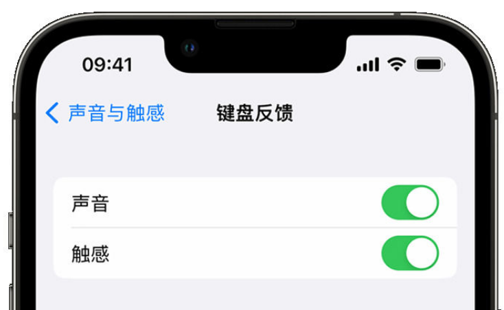 霍林郭勒苹果手机维修分享iPhone 14触感键盘使用方法 