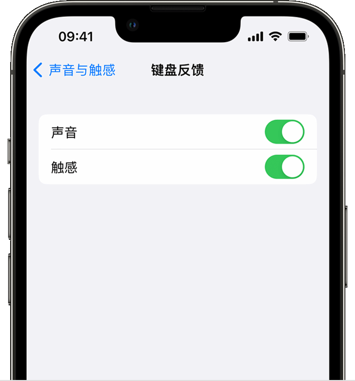 霍林郭勒苹果14维修店分享如何在 iPhone 14 机型中使用触感键盘 