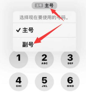 霍林郭勒苹果14维修店分享iPhone 14 Pro Max使用副卡打电话的方法 