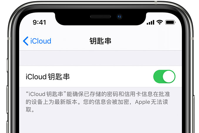 霍林郭勒苹果手机维修分享在 iPhone 上开启 iCloud 钥匙串之后会储存哪些信息 