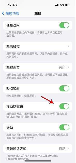 霍林郭勒苹果手机维修分享iPhone手机如何设置摇一摇删除文字 